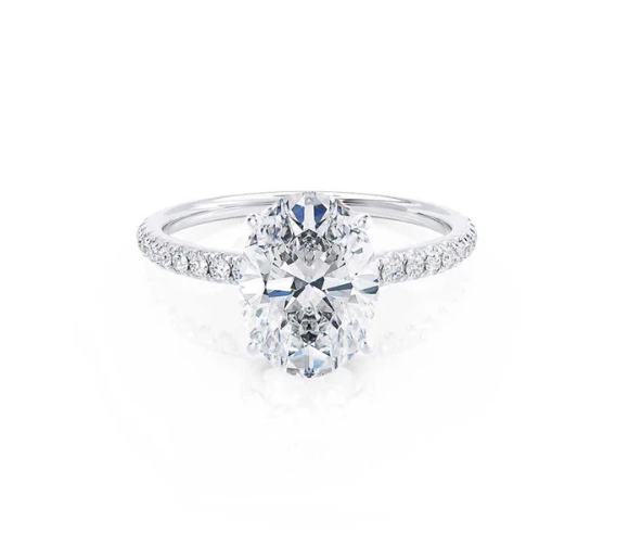 Moments to Treasure: Brilliance That Shines Forever