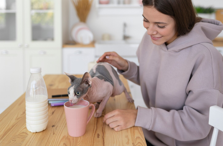 How to Ensure Your Dog’s Health with the Right Products and Accessories